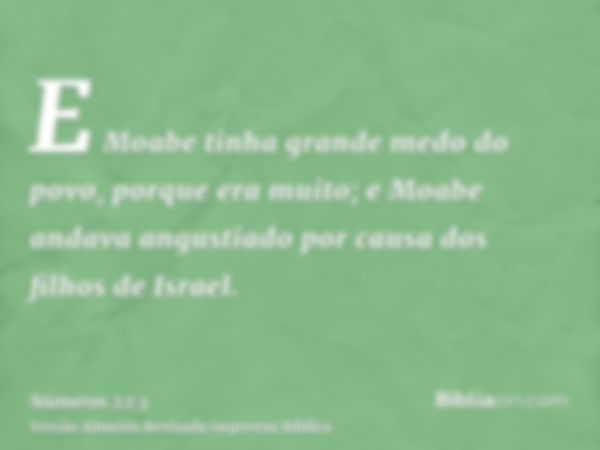 E Moabe tinha grande medo do povo, porque era muito; e Moabe andava angustiado por causa dos filhos de Israel.