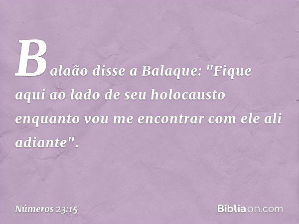 Balaão disse a Balaque: "Fique aqui ao lado de seu holocausto enquanto vou me encontrar com ele ali adiante". -- Números 23:15