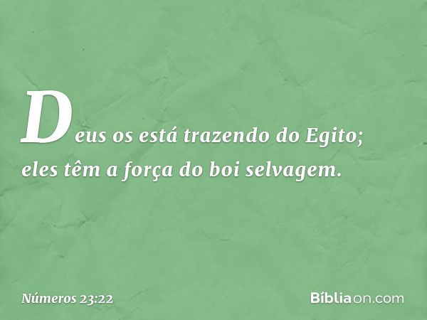 Deus os está trazendo do Egito;
eles têm a força do boi selvagem. -- Números 23:22