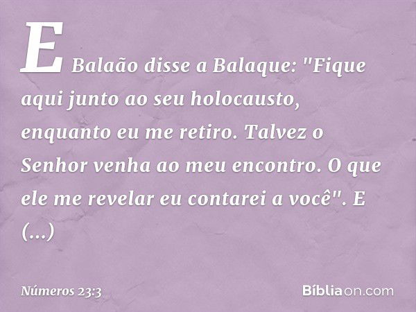 E Balaão disse a Balaque: "Fique aqui junto ao seu holocausto, enquanto eu me retiro. Talvez o Senhor venha ao meu encontro. O que ele me revelar eu contarei a 