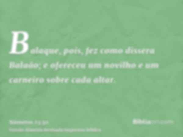 Balaque, pois, fez como dissera Balaão; e ofereceu um novilho e um carneiro sobre cada altar.