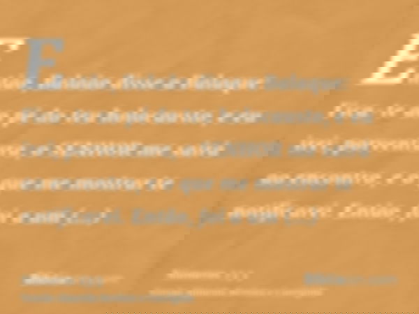 Então, Balaão disse a Balaque: Fica-te ao pé do teu holocausto, e eu irei; porventura, o SENHOR me sairá ao encontro, e o que me mostrar te notificarei. Então, 