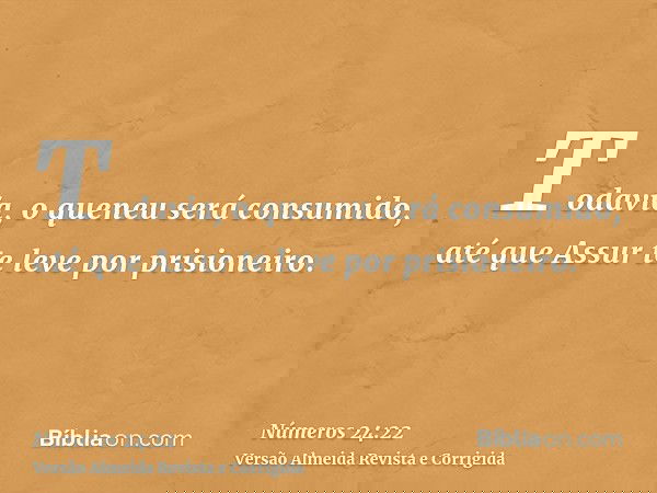 Todavia, o queneu será consumido, até que Assur te leve por prisioneiro.