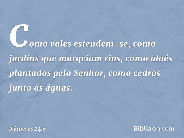 Como vales estendem-se,
como jardins que margeiam rios,
como aloés plantados pelo Senhor,
como cedros junto às águas. -- Números 24:6