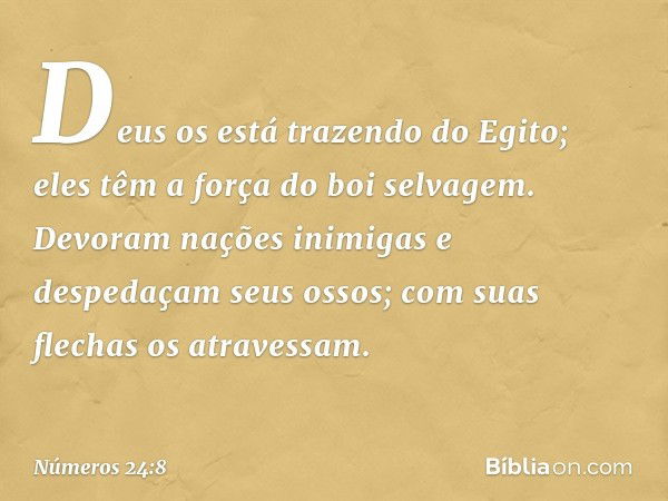 Deus os está trazendo do Egito;
eles têm a força do boi selvagem.
Devoram nações inimigas
e despedaçam seus ossos;
com suas flechas os atravessam. -- Números 24