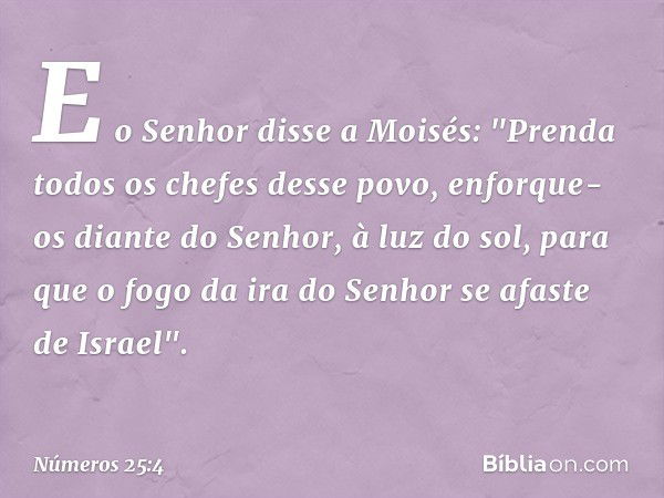 E o Senhor disse a Moisés: "Prenda todos os chefes desse povo, enforque-os diante do Senhor, à luz do sol, para que o fogo da ira do Senhor se afaste de Israel"