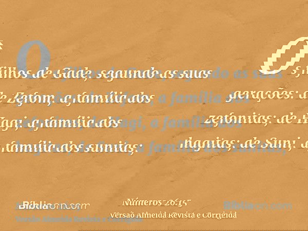 Os filhos de Gade, segundo as suas gerações: de Zefom, a família dos zefonitas; de Hagi, a família dos hagitas; de Suni, a família dos sunitas;