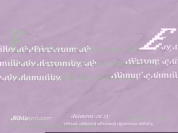 E os filhos de Pérez eram: de Hezrom, a família dos hezronitas; de Hamul, a família dos hamulitas.