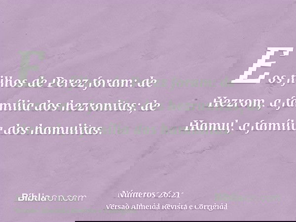 E os filhos de Perez foram: de Hezrom, a família dos hezronitas; de Hamul, a família dos hamulitas.
