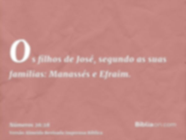 Os filhos de José, segundo as suas familias: Manassés e Efraim.