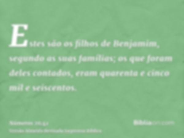 Estes são os filhos de Benjamim, segundo as suas famílias; os que foram deles contados, eram quarenta e cinco mil e seiscentos.