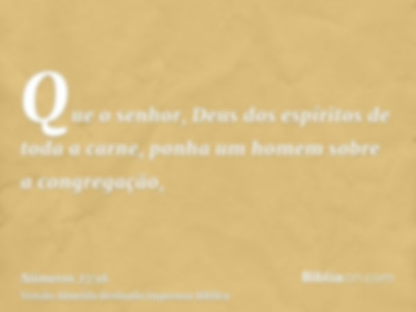 Que o senhor, Deus dos espíritos de toda a carne, ponha um homem sobre a congregação,