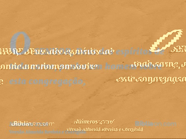 O SENHOR, Deus dos espíritos de toda carne, ponha um homem sobre esta congregação,