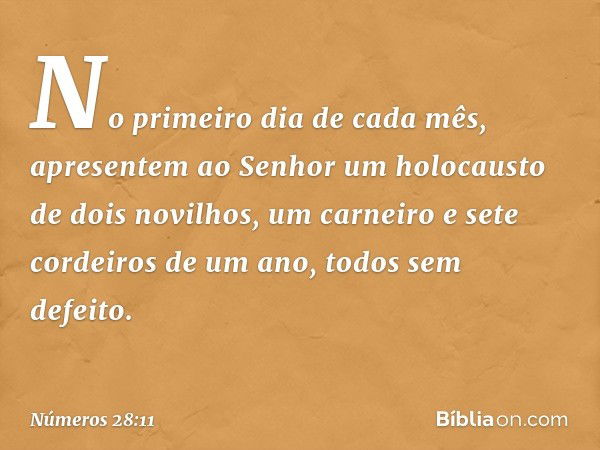 "No primeiro dia de cada mês, apresentem ao Senhor um holocausto de dois novilhos, um carneiro e sete cordeiros de um ano, todos sem defeito. -- Números 28:11