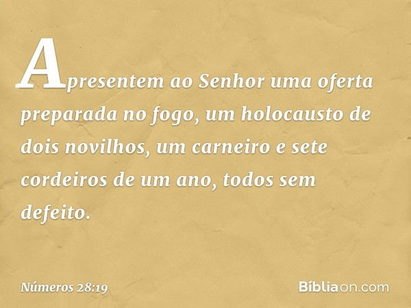 Apresentem ao Senhor uma oferta preparada no fogo, um holocausto de dois novilhos, um carneiro e sete cordeiros de um ano, todos sem defeito. -- Números 28:19