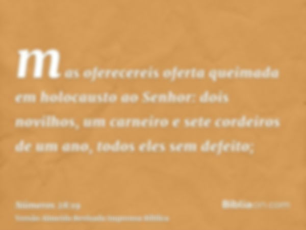 mas oferecereis oferta queimada em holocausto ao Senhor: dois novilhos, um carneiro e sete cordeiros de um ano, todos eles sem defeito;