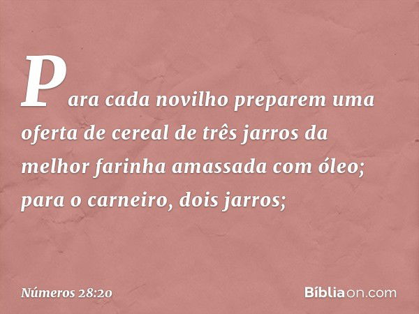 Para cada novilho preparem uma oferta de cereal de três jarros da melhor farinha amassada com óleo; para o carneiro, dois jarros; -- Números 28:20