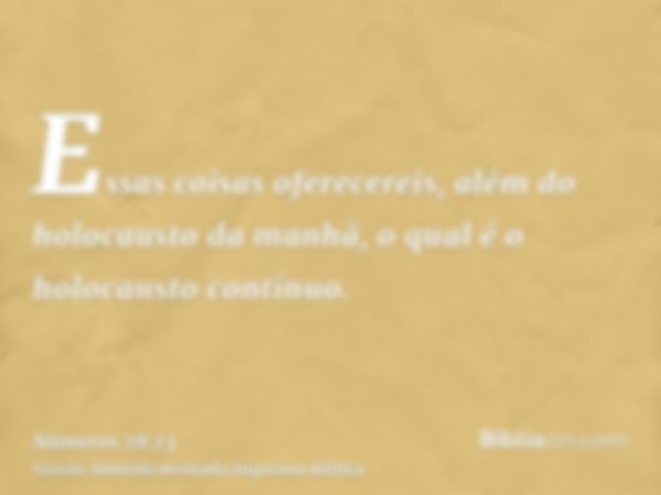 Essas coisas oferecereis, além do holocausto da manhã, o qual é o holocausto contínuo.