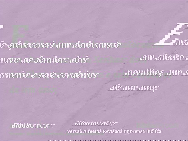Então oferecereis um holocausto em cheiro suave ao Senhor: dois novilhos, um carneiro e sete cordeiros de um ano;
