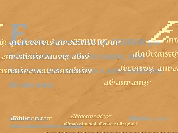 Então, oferecereis ao SENHOR por holocausto, em cheiro suave, dois bezerros, um carneiro e sete cordeiros de um ano;
