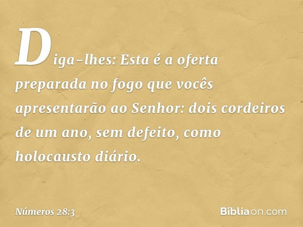 Diga-lhes: Esta é a oferta preparada no fogo que vocês apresentarão ao Senhor: dois cordeiros de um ano, sem defeito, como holocausto diário. -- Números 28:3