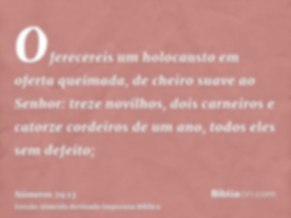 Oferecereis um holocausto em oferta queimada, de cheiro suave ao Senhor: treze novilhos, dois carneiros e catorze cordeiros de um ano, todos eles sem defeito;