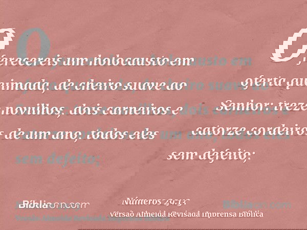 Oferecereis um holocausto em oferta queimada, de cheiro suave ao Senhor: treze novilhos, dois carneiros e catorze cordeiros de um ano, todos eles sem defeito;