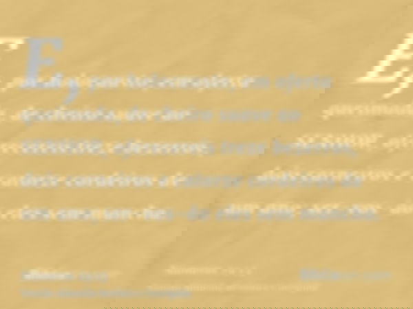 E, por holocausto, em oferta queimada, de cheiro suave ao SENHOR, oferecereis treze bezerros, dois carneiros e catorze cordeiros de um ano; ser-vos-ão eles sem 