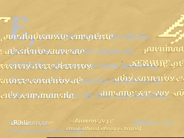 E, por holocausto, em oferta queimada, de cheiro suave ao SENHOR, oferecereis treze bezerros, dois carneiros e catorze cordeiros de um ano; ser-vos-ão eles sem