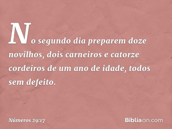 "No segundo dia preparem doze novilhos, dois carneiros e catorze cordeiros de um ano de idade, todos sem defeito. -- Números 29:17