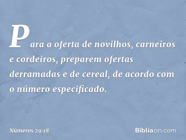 Para a oferta de novilhos, carneiros e cordeiros, preparem ofertas derramadas e de cereal, de acordo com o número especificado. -- Números 29:18