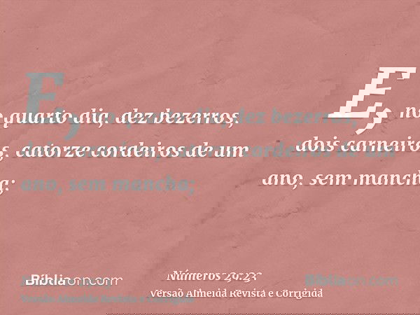 E, no quarto dia, dez bezerros, dois carneiros, catorze cordeiros de um ano, sem mancha;