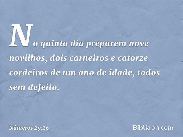 "No quinto dia preparem nove novilhos, dois carneiros e catorze cordeiros de um ano de idade, todos sem defeito. -- Números 29:26