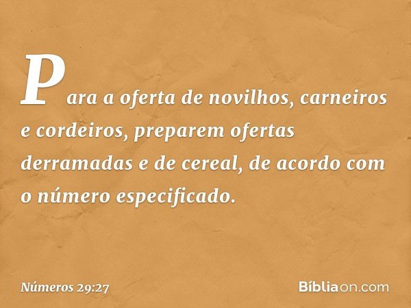 Para a oferta de novilhos, carneiros e cordeiros, preparem ofertas derramadas e de cereal, de acordo com o número especificado. -- Números 29:27