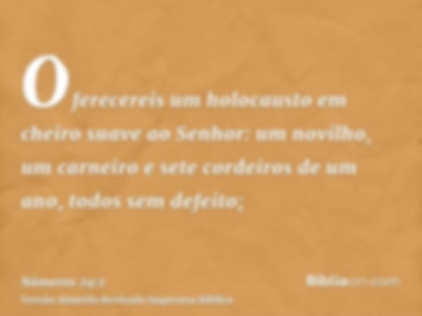 Oferecereis um holocausto em cheiro suave ao Senhor: um novilho, um carneiro e sete cordeiros de um ano, todos sem defeito;