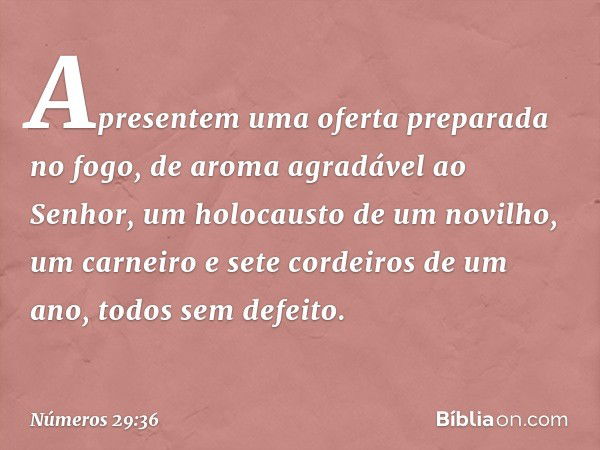 Apresentem uma oferta preparada no fogo, de aroma agradável ao Senhor, um holocausto de um novilho, um carneiro e sete cordeiros de um ano, todos sem defeito. -