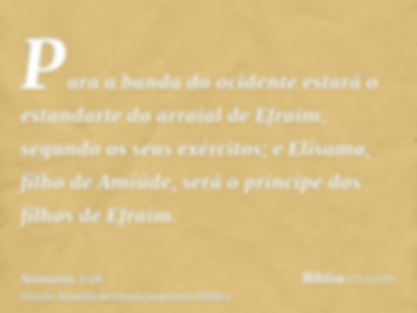 Para a banda do ocidente estará o estandarte do arraial de Efraim, segundo os seus exércitos; e Elisama, filho de Amiúde, será o príncipe dos filhos de Efraim.