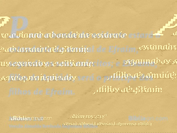 Para a banda do ocidente estará o estandarte do arraial de Efraim, segundo os seus exércitos; e Elisama, filho de Amiúde, será o príncipe dos filhos de Efraim.