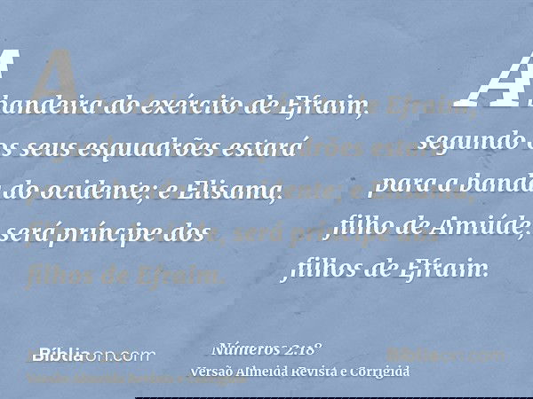 A bandeira do exército de Efraim, segundo os seus esquadrões estará para a banda do ocidente; e Elisama, filho de Amiúde, será príncipe dos filhos de Efraim.