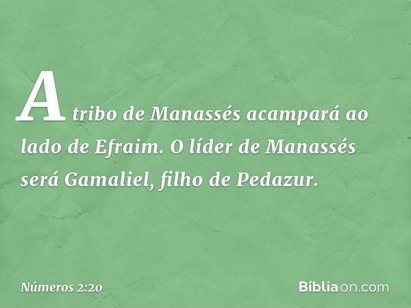 A tribo de Manassés acampará ao lado de Efraim. O líder de Manassés será Gamaliel, filho de Pedazur. -- Números 2:20