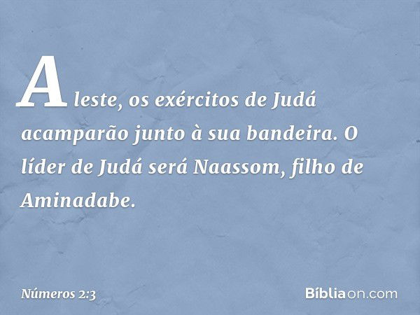 A leste, os exércitos de Judá acamparão junto à sua bandeira. O líder de Judá será Naassom, filho de Aminadabe. -- Números 2:3