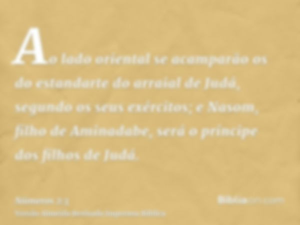 Ao lado oriental se acamparão os do estandarte do arraial de Judá, segundo os seus exércitos; e Nasom, filho de Aminadabe, será o príncipe dos filhos de Judá.