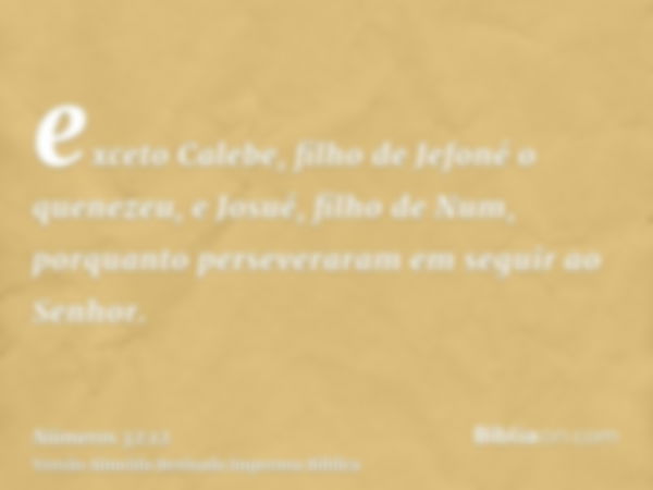 exceto Calebe, filho de Jefoné o quenezeu, e Josué, filho de Num, porquanto perseveraram em seguir ao Senhor.