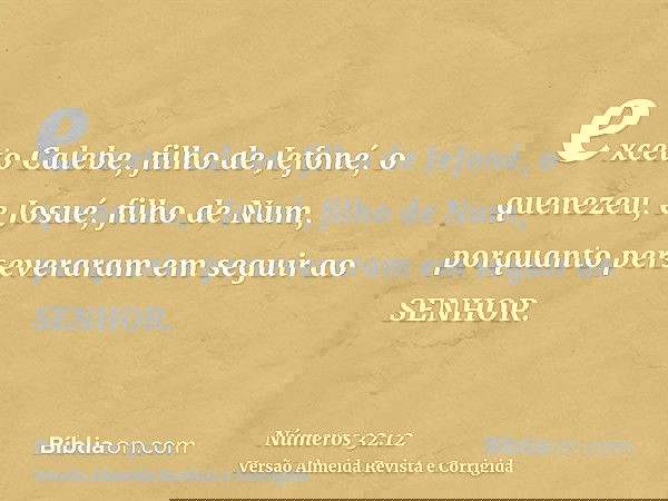 exceto Calebe, filho de Jefoné, o quenezeu, e Josué, filho de Num, porquanto perseveraram em seguir ao SENHOR.