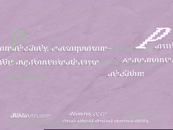Partiram de Cades, e acamparam-se no monte Hor, na fronteira da terra de Edom.
