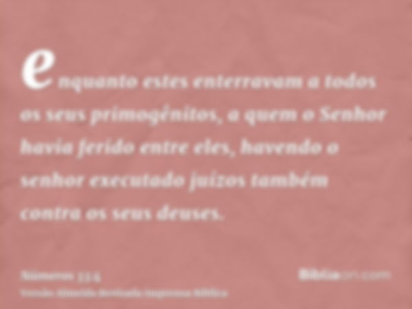 enquanto estes enterravam a todos os seus primogênitos, a quem o Senhor havia ferido entre eles, havendo o senhor executado juízos também contra os seus deuses.