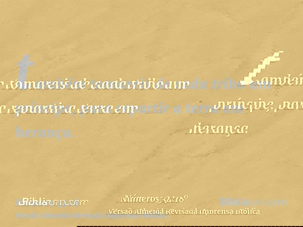 também tomareis de cada tribo um príncipe, para repartir a terra em herança.