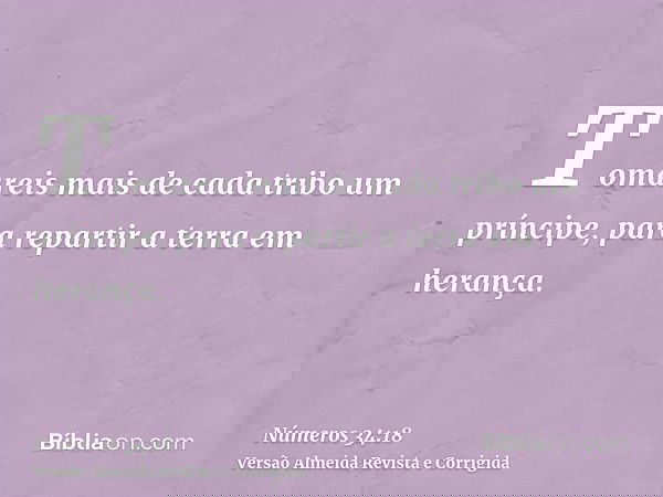 Tomareis mais de cada tribo um príncipe, para repartir a terra em herança.