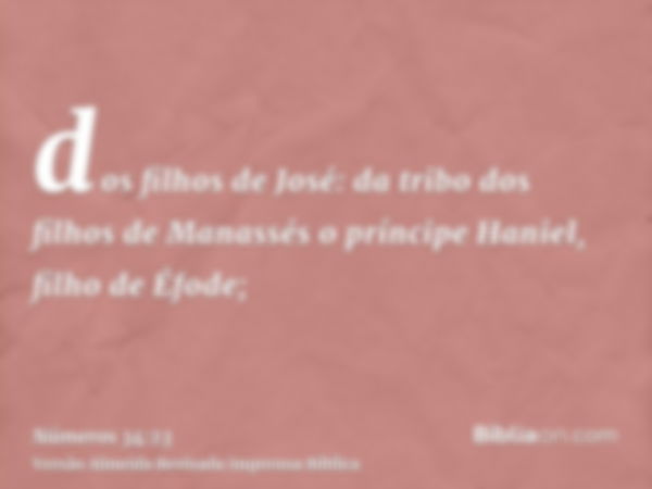 dos filhos de José: da tribo dos filhos de Manassés o príncipe Haniel, filho de Éfode;