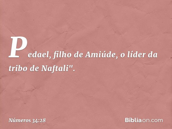 Pedael, filho de Amiúde,
o líder da tribo de Naftali". -- Números 34:28